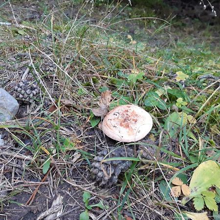 Apartamento Partara Aínsa Kültér fotó